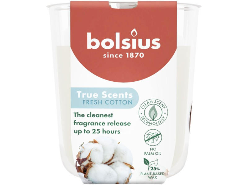 45242-45242 101924930371